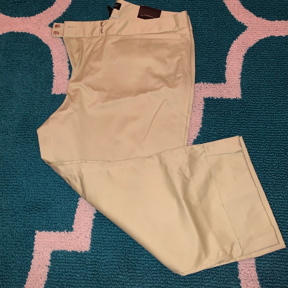 Lane Bryant Crop Pants